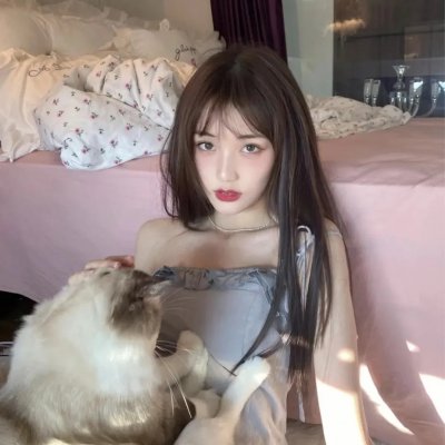 凤皇传